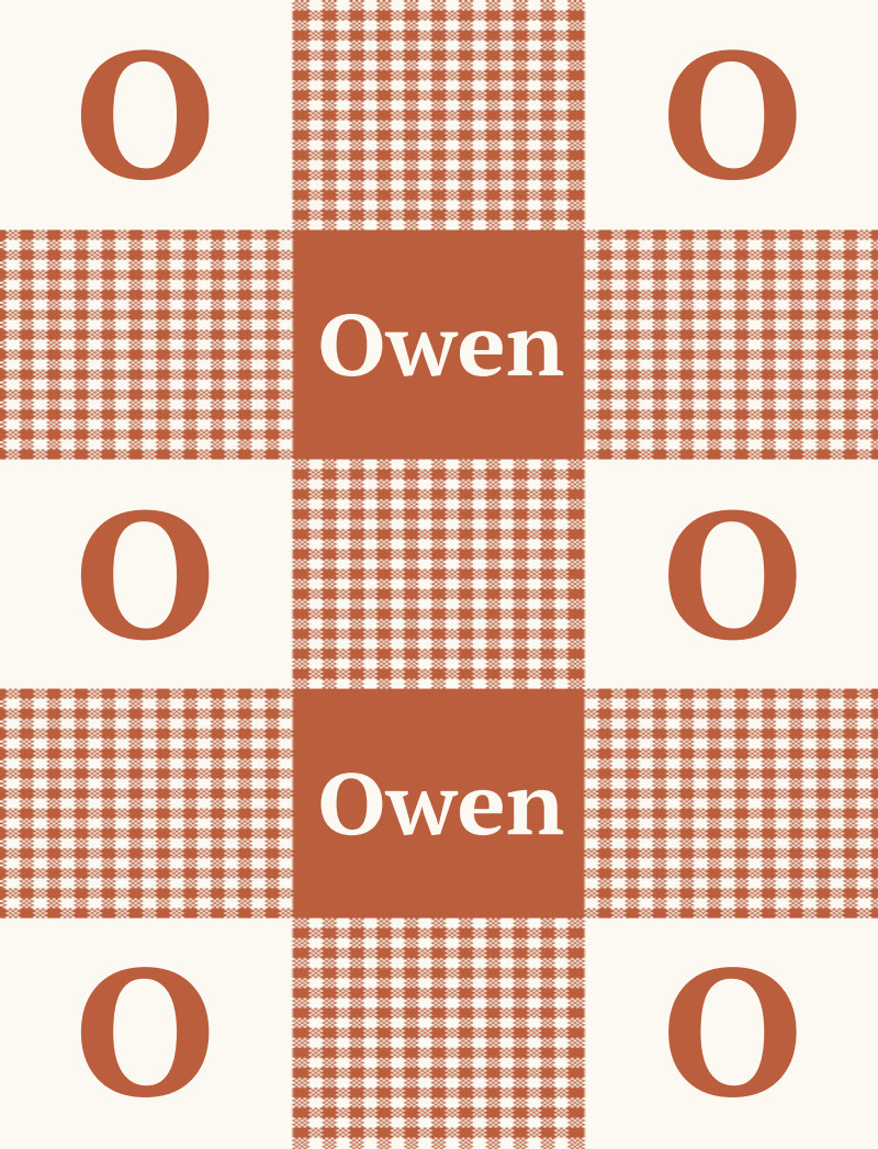 Owen Bassinet Blanket - Rust/Eggshell Perfect Condition