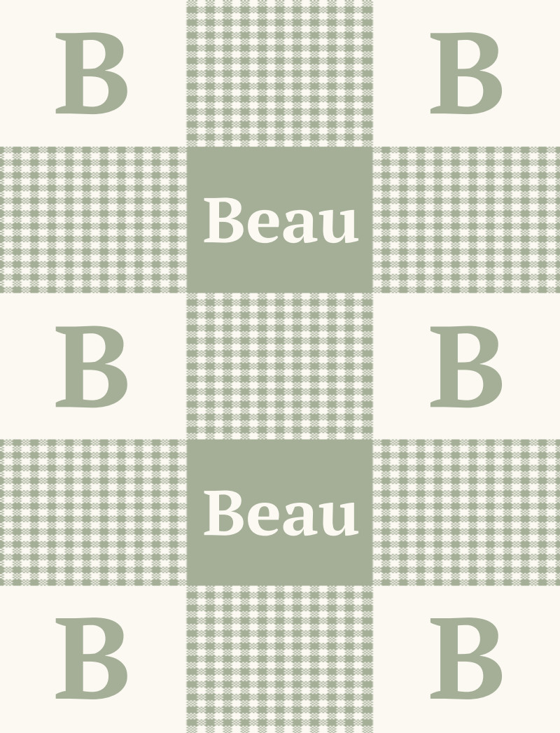 Beau Bassinet Blanket – Sage/Eggshell Perfect Condition