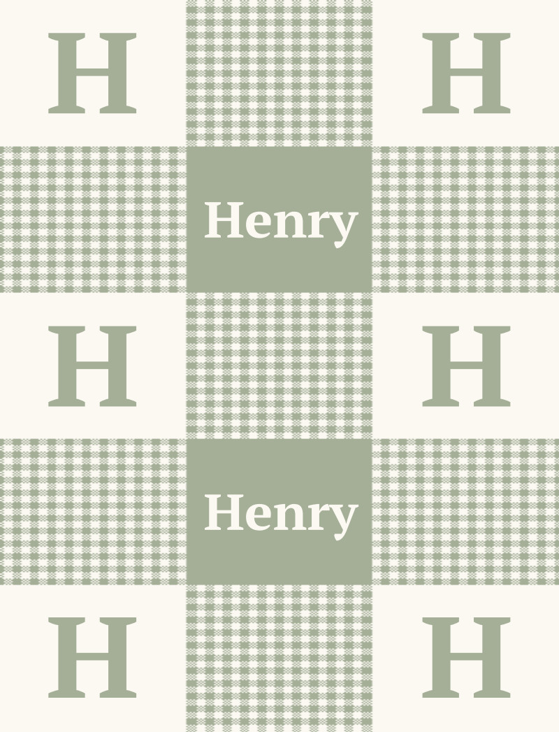 Henry Bassinet Blanket - Eggshell/Sage Perfect Condition