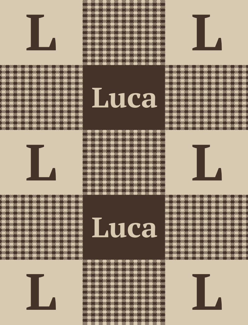 Luca Bassinet Blanket – Espresso/Oat Perfect Condition