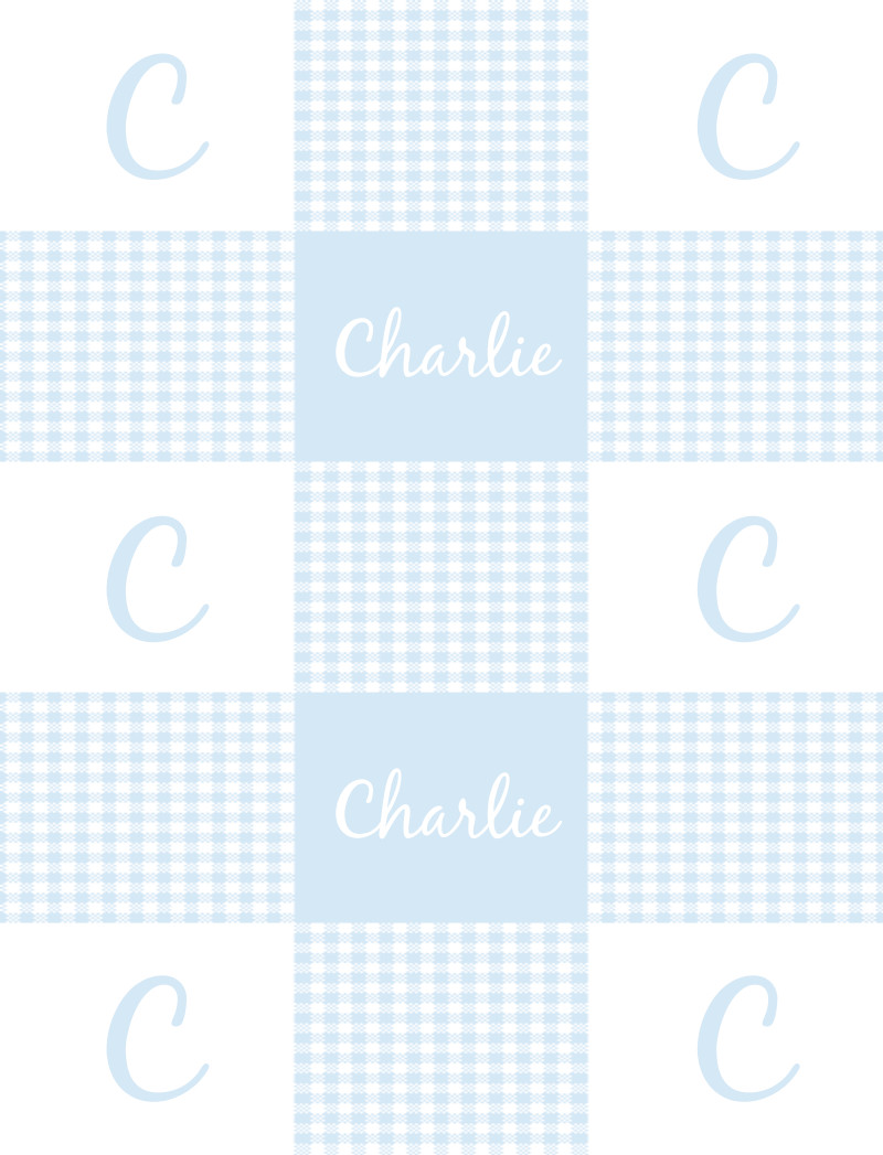 Charlie Bassinet Blanket - Ice-Blue/White Perfect Condition