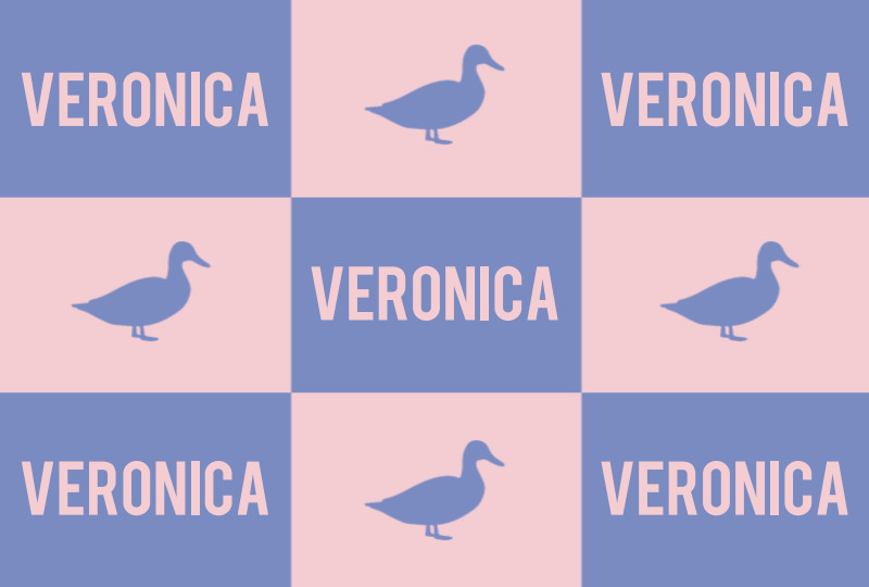 Veronica Newborn Blanket - Seamist/Pastel-Pink Perfect Condition