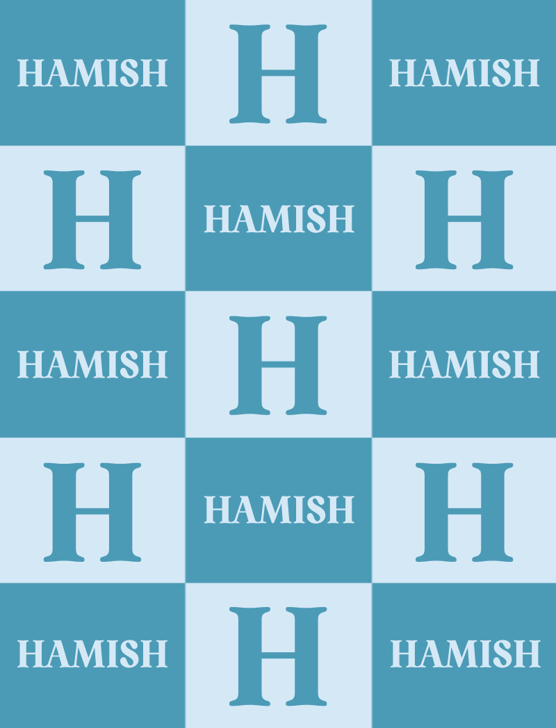 Hamish Bassinet Blanket - Arctic-Blue/Ice-Blue Perfect Condition