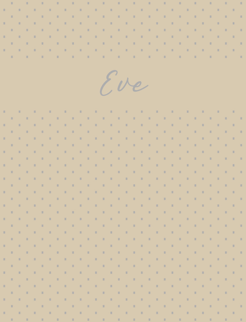 Eve Bassinet Blanket - Oat/Pewter Perfect Condition