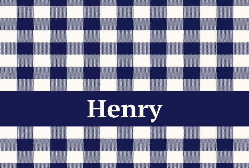 Henry Newborn Blanket - Navy/Eggshell Perfect Condition