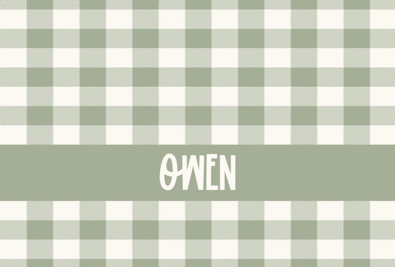 Owen Newborn Blanket - Eggshell/Sage Perfect Condition