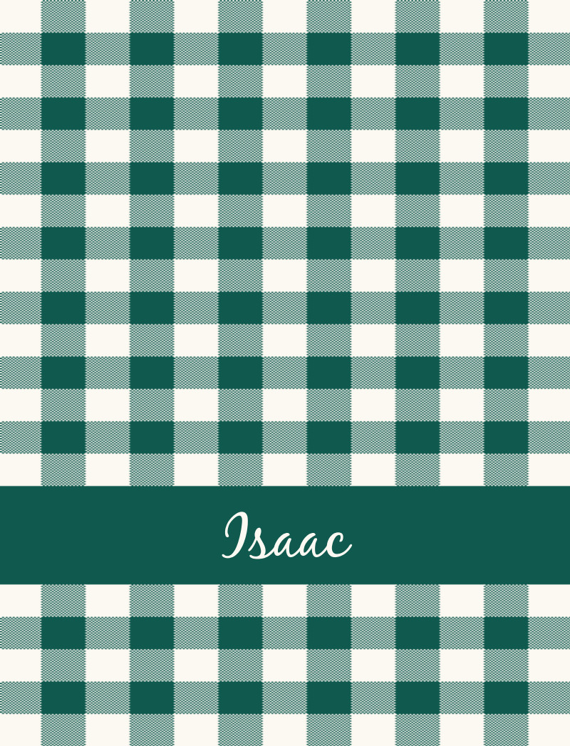 Isaac Bassinet Blanket - Forest Green/Eggshell Perfect Condition