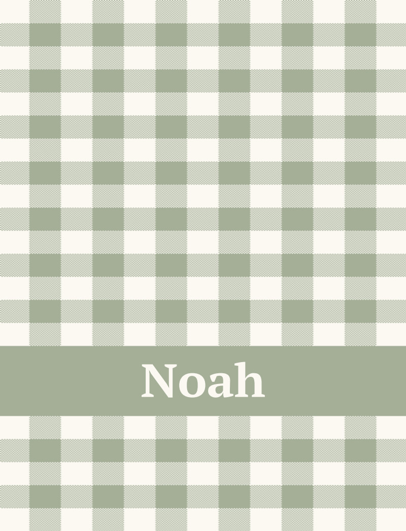 Noah Bassinet Blanket - Sage/Eggshell Perfect Condition