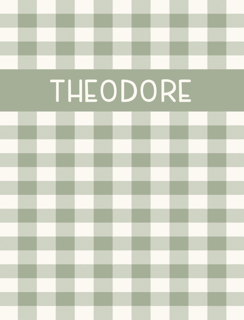 Theodore Bassinet Blanket - Sage/Eggshell Perfect Condition