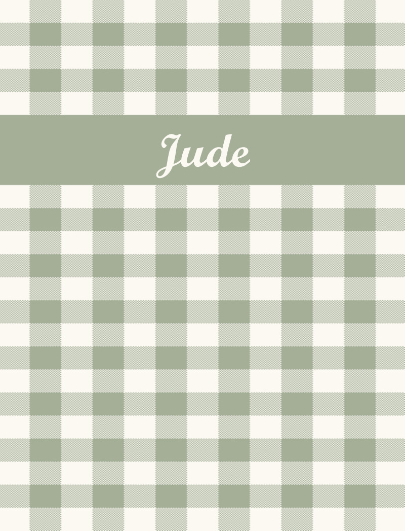 Jude Bassinet Blanket - Sage/Eggshell Perfect Condition