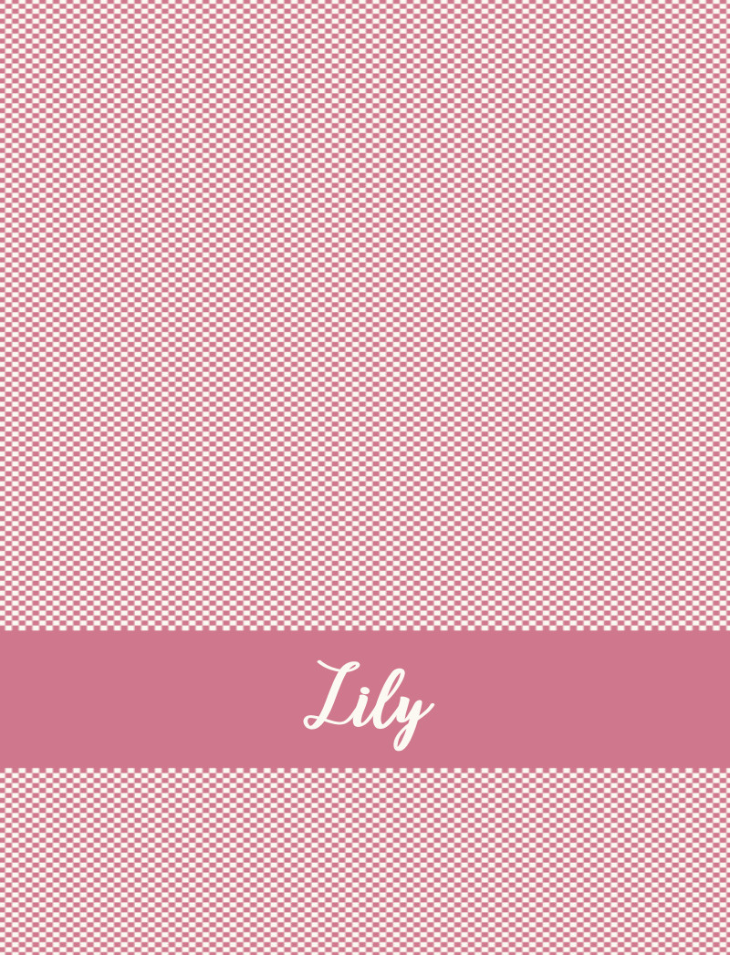 Lily Bassinet Blanket - Rose/Eggshell Perfect Condition