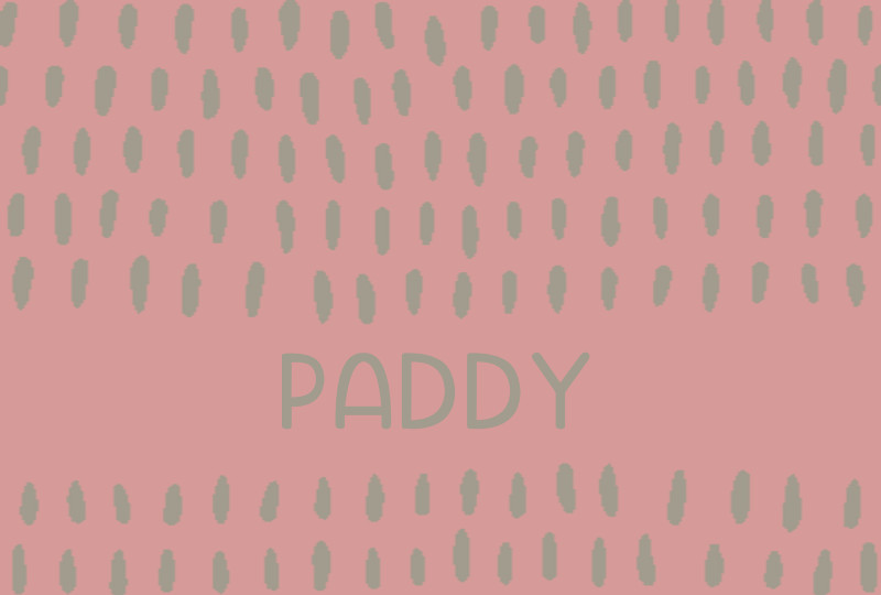 Paddy Newborn Blanket - Blush/Beige Perfect Condition